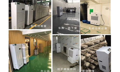 1000平的檔案室配置多大的除濕機